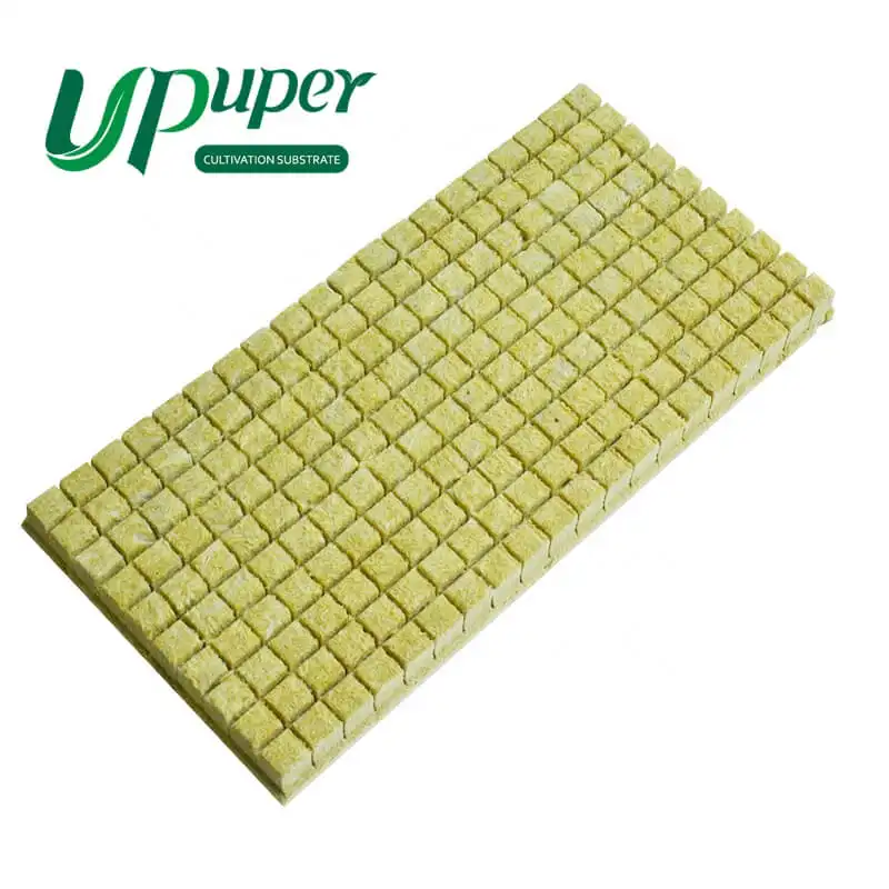 UPuper CP 25T 1 "x 1" tappi per piantina di semi di avviamento per coltivazione media idroponica lana di roccia 50 cubi per piante