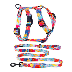 Arnés colorido personalizado para perro, productos para mascotas, diseño de moda, 2022 - Product Image 2