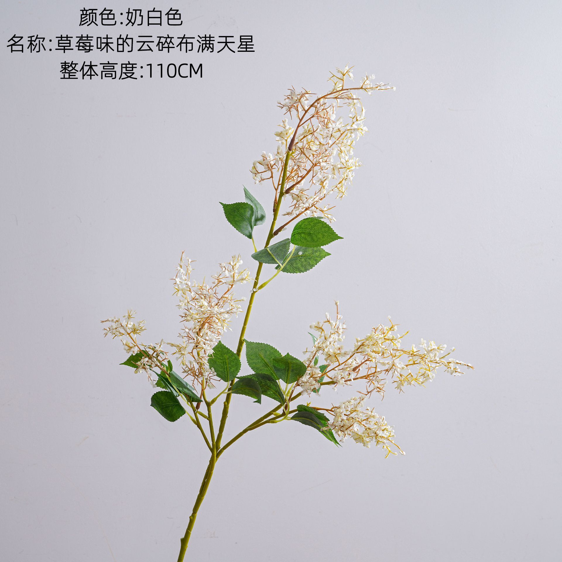 สีขาวน้ำนม