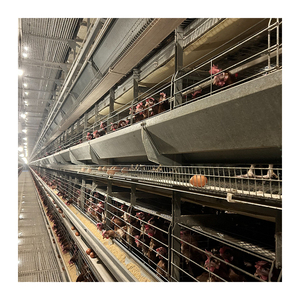 Giá tốt nhất về điều kiện mới lồng pin tự động cho trang trại gà đẻ trứng tối ưu cho các lớp - Product Image 3