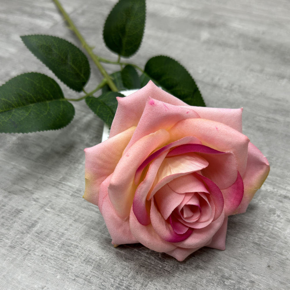 สีชมพูอ่อน