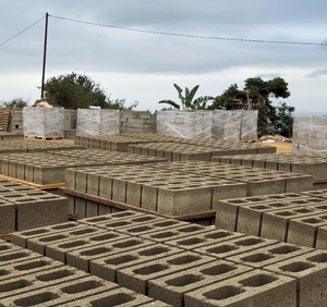 Máquina de fabricación de ladrillos entrelazados, maquinaria de fabricación de ladrillos para pavimentación de ladrillos ecológicos con estante de curado, ampliamente utilizada en Libia - Product Image 6