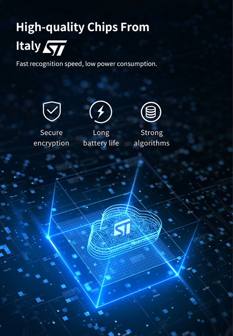 Economic Keyless Handle Fingerprint Door Lock with Wifi Tuya APP