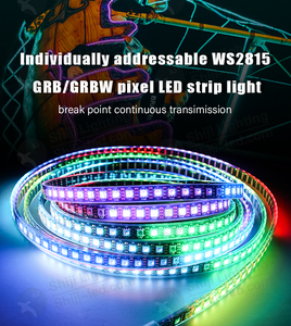 Assicurazione commerciale 12v Pixel WS2815 30Led 60Led 84Led 100Led 144Led Led 5050 digitale da sogno indirizzabile RGB striscia Led