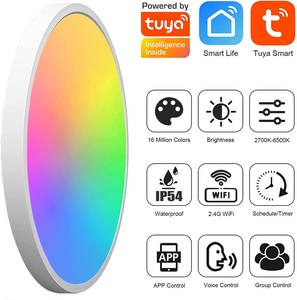 Akıllı LED Modern tavan müzikli ışık 24W 2400LM yuvarlak tavan lambası ile çalışmak TUYA Alexa WIFI APP kontrol RGBCW yatak odası işık - Product Image 4