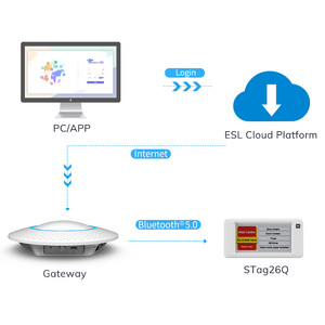 Minewtag 2.66 inch 4-màu E-ink kỹ thuật số giá tag một cú nhấp chuột cập nhật giá thông qua PC/App không dây ESL POS ERP hệ thống tích hợp - Product Image 4