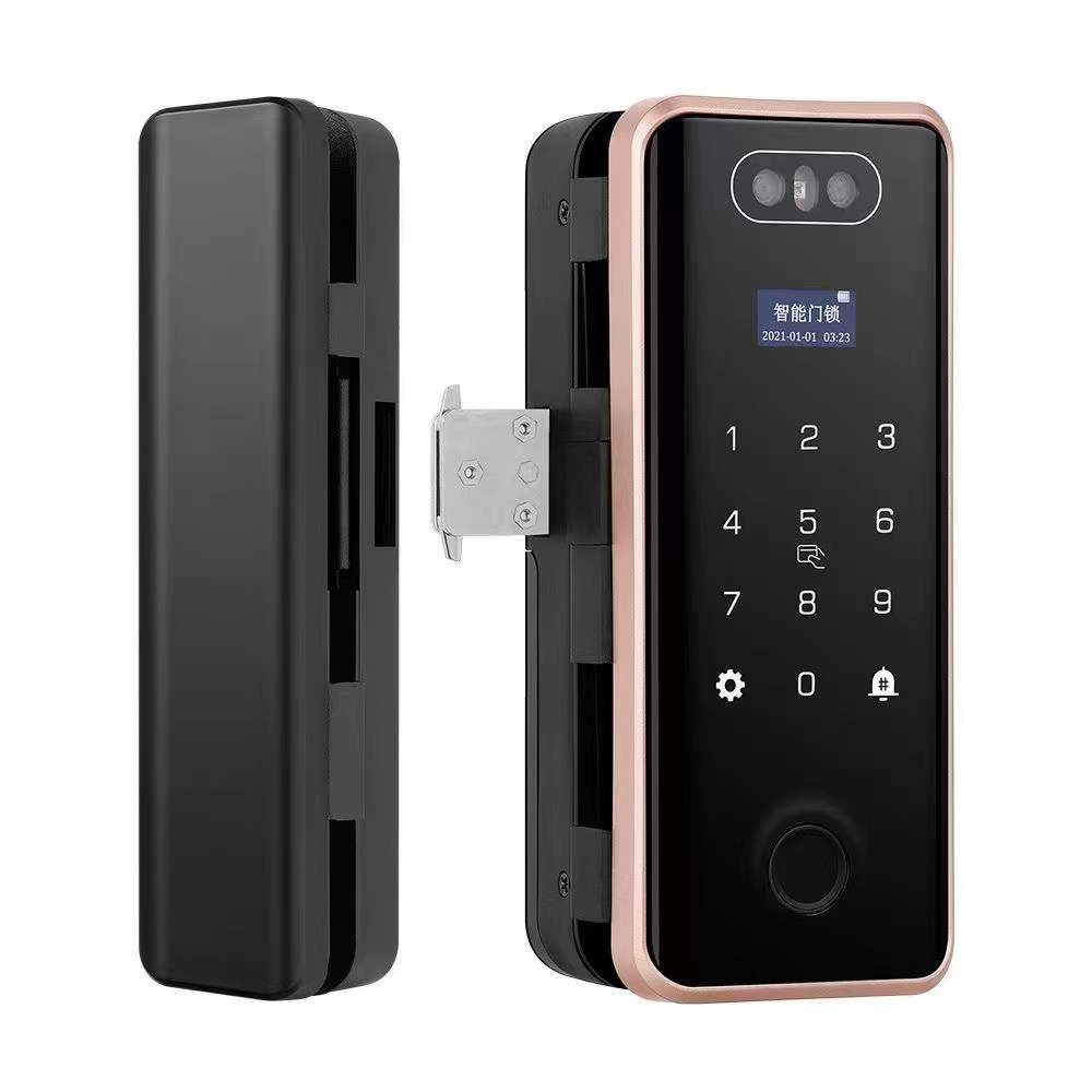 Competitive Price G5S 3D Face Recognition Glass Door Lock Biometric Passcode Fingerprint Smart Glass Door Lock