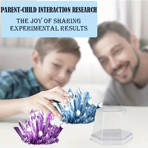 Crystal Planting DIY Science <strong>Experiment</strong> Set Fun Parent-child Communication Chemistry <strong>Experiment</strong> a <strong>Gift</strong> for a Child - Product Image 5
