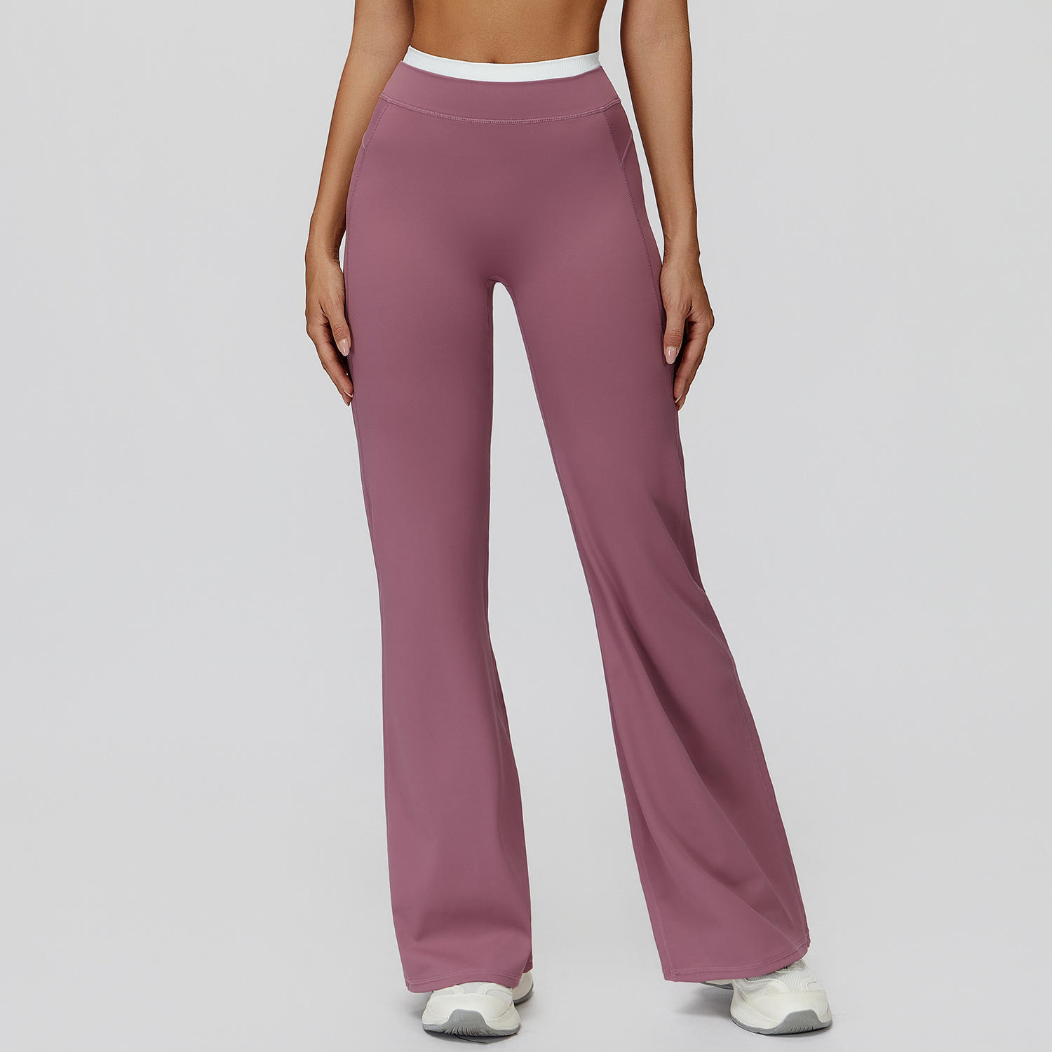 Violet pourpre