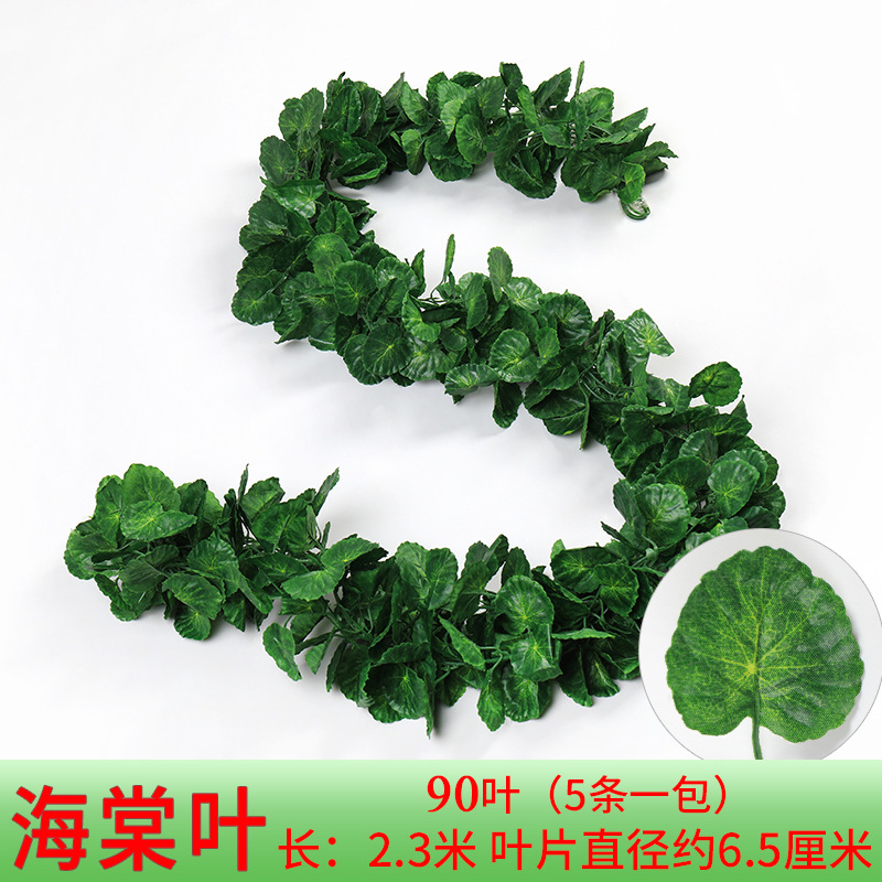 Paquet de 5 begonia 3D imprimés en couleur de 90 feuilles