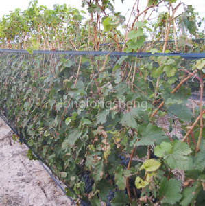 HDPE Vineyard Side Net für Trauben gegen Vögel und Wildtiere Trauben schutz netz