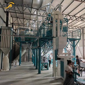 Bir kayıpta 100t/d ticari mısır grit yapma makinesi mısır unu freze makinesi mısır freze tesisi düşük maliyetli - Product Image 3