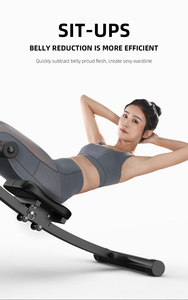 FDFIT AB练习4合1功能健身器材PortAbdominalle室内腹部机腹部装置 - Product Image 2