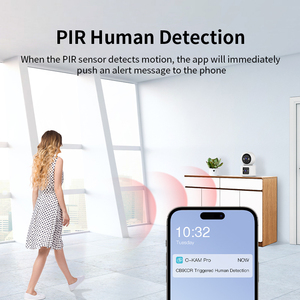 简单设计3MP高清PIR人体检测IP摄像机一键式呼叫按钮无线网络WIFI摄像机 - Product Image 5