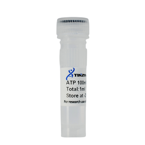 Tinzyme ATP 100mM โซลูชันคุณภาพสูงที่เชื่อถือได้อะเดโนซีน 5-ไตรฟอสเฟต (rATP) - Product Image 1