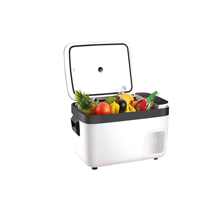 12v nevera pequeña portátil mini congelador con compresor de refrigerador