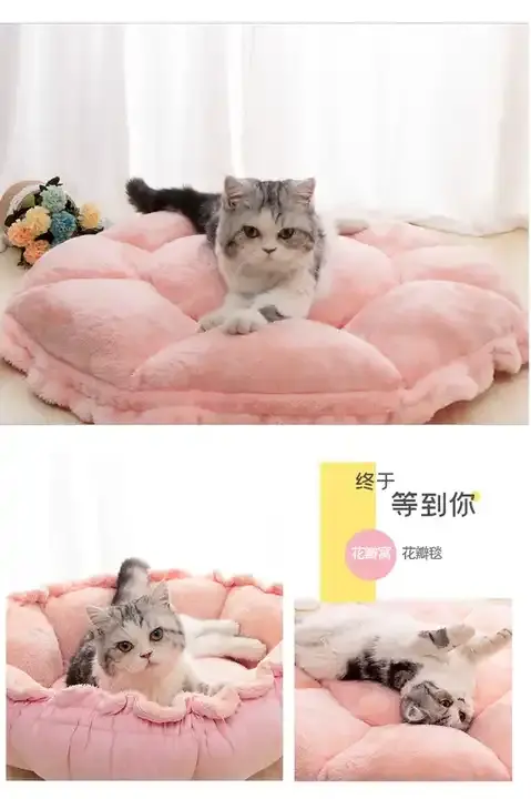 2023 vente chaude chat lit antidérapant chaud nid pour animaux de compagnie mignon rose princesse animal de compagnie canapé-lit chien chat lit