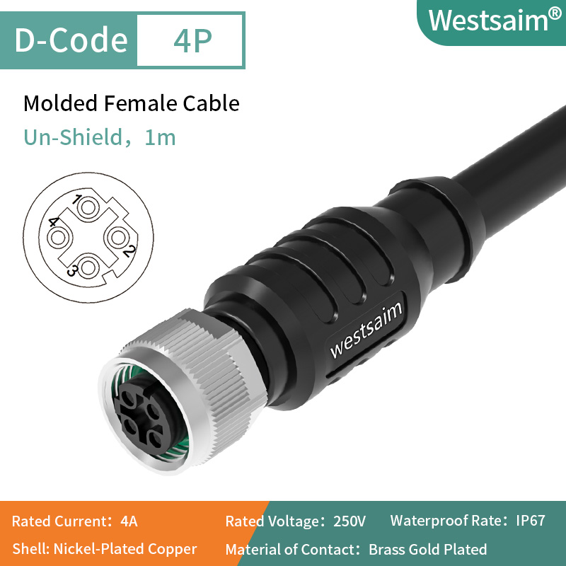 Droite femelle M12-D-4