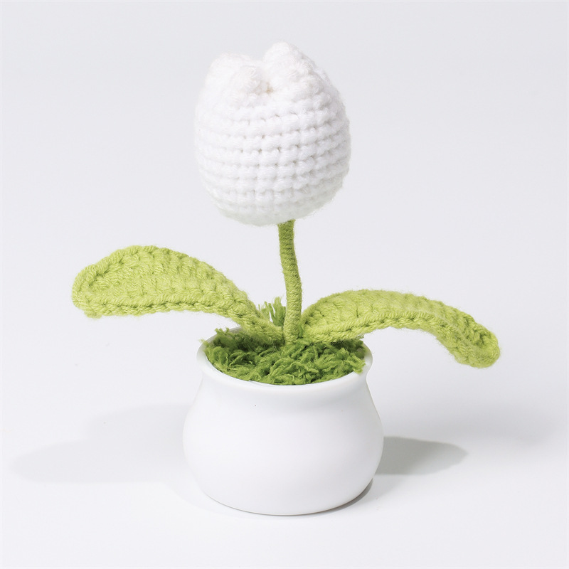 Fat tulip white
