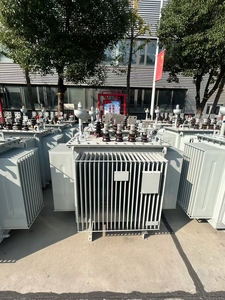 Trasformatore di potenza trifase ingresso 10kv 24v/<span class=keywords><strong>400v</strong></span>/<span class=keywords><strong>11kv</strong></span> uscita 300kva/1000kva/100kva capacità nominale 60Hz forma della bobina di frequenza