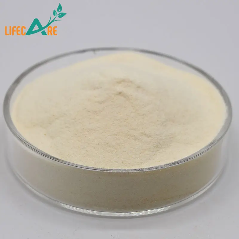 Lifecare Bột Beta Glucan Yến Mạch Hữu Cơ Chất Lượng Cao 70% Với Chất Lượng Tốt Nhất