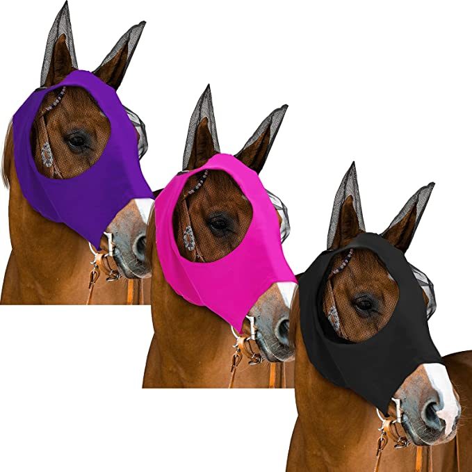 Pegasus Maschera 1