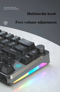 66 Key Gaming Gamer <strong>Desktop</strong> Mechanical <strong>Keyboard</strong> Wired Red Axis RGB <strong>Keypad</strong> Backlight USB Type C Optical Gaming <strong>Keyboard</strong> - Product Image 3
