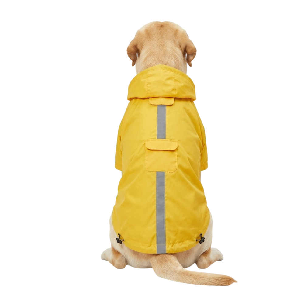 Jaune