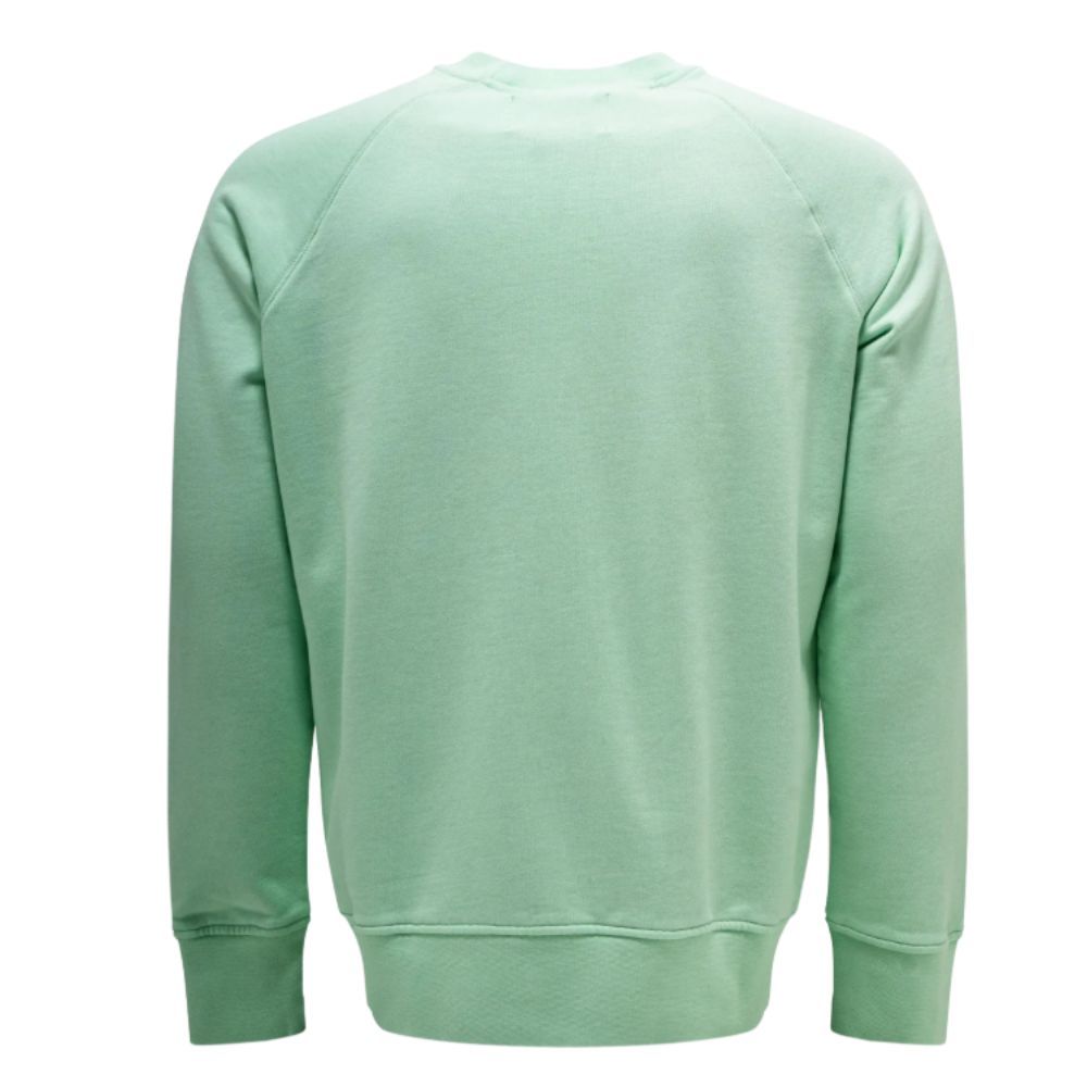 same as picture( Mint Green)