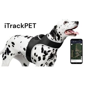 Kích thước XL không thấm nước GPS Pet Tracker với thời gian thực an ninh Hệ thống giám sát <span class=keywords><strong>Tag</strong></span> cho vật nuôi - Product Image 3
