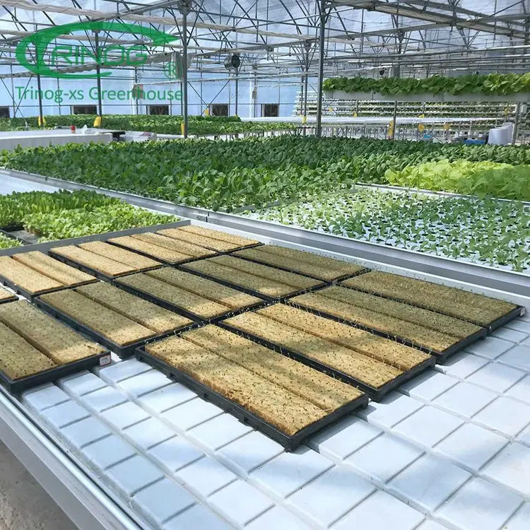 Trinog-invernadero multispan para agricultura, Banco rodante de flujo y ABS para plantación de verduras