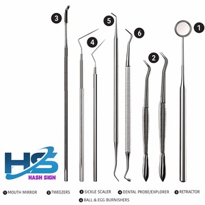 8ピース歯科衛生キットステンレス鋼口腔洗浄ツール家庭用歯ガムクリーニングキット、カスタムロゴ付き