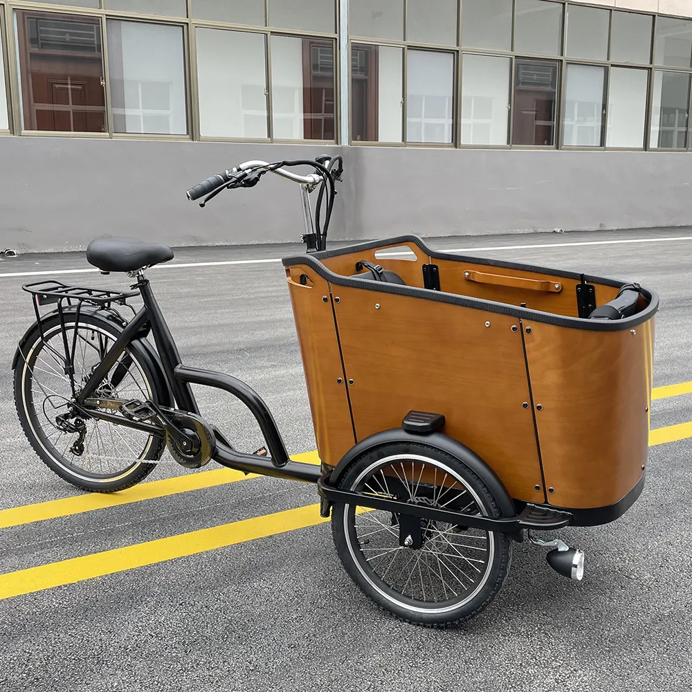 Bicicletta elettrica bakfiet a 3 ruote bici da carico a tre ruote bici elettrica da carico per adulti con cestino per cane
