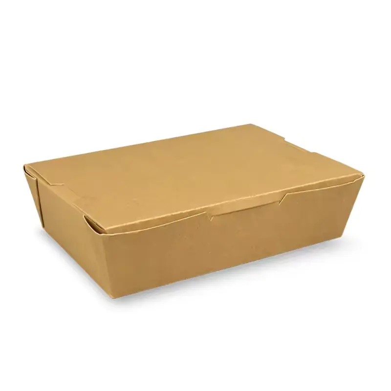 Small Kraft Lunch Box: Premium Eco-Friendly Packaging Solution for Single Person