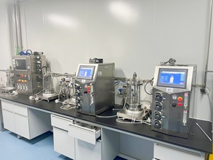 7L-4 Fermenter Fermentation bioreactor reducing manual intervention and errors. - Product Image 5