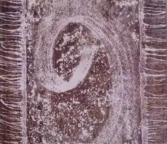 Gris foncé, Marron