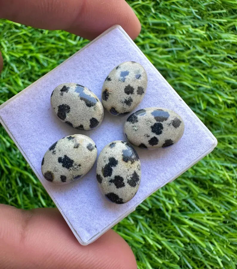 jaspe dalmatien