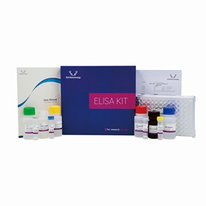 Araştırma kullanımı için fare HbA1c (glicated Hemoglobin A1c) ELISA seti - Product Image 2