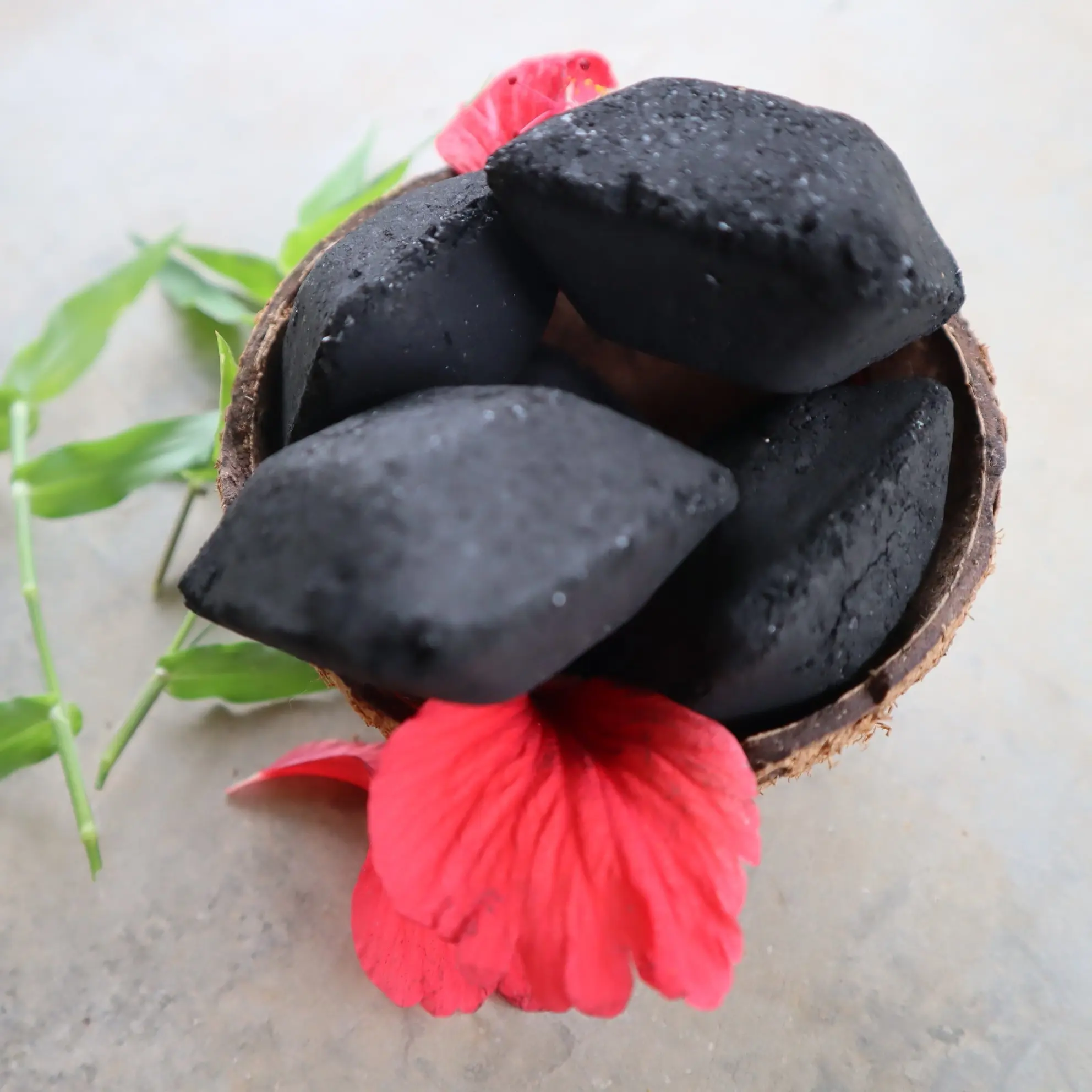 Divierte tus vacaciones con briquetas de carbón de cáscara de coco natural para asar a la parrilla