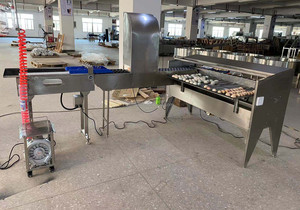 真空卵吸引装置とアキュムレーター製品ラインを備えた自動卵選別機/卵分類機グレーダー機ZYFJ3L