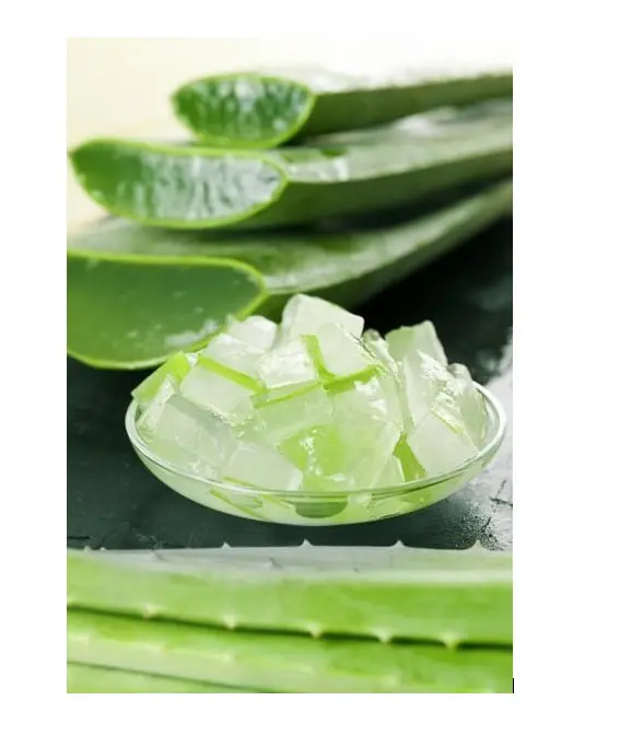 Migliori prodotti di gelatina di Aloe Vera Vietnam di alta qualità e prezzo ragionevole/Ms. Esther (WhatsApp: + 84 963590549)