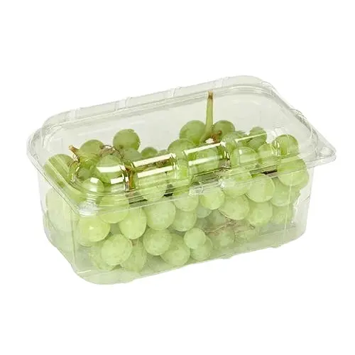 Prezzo all'ingrosso vendita calda trasparente in plastica eco-friendly frutta punnet uva contenitore di imballaggio con prezzo a buon mercato