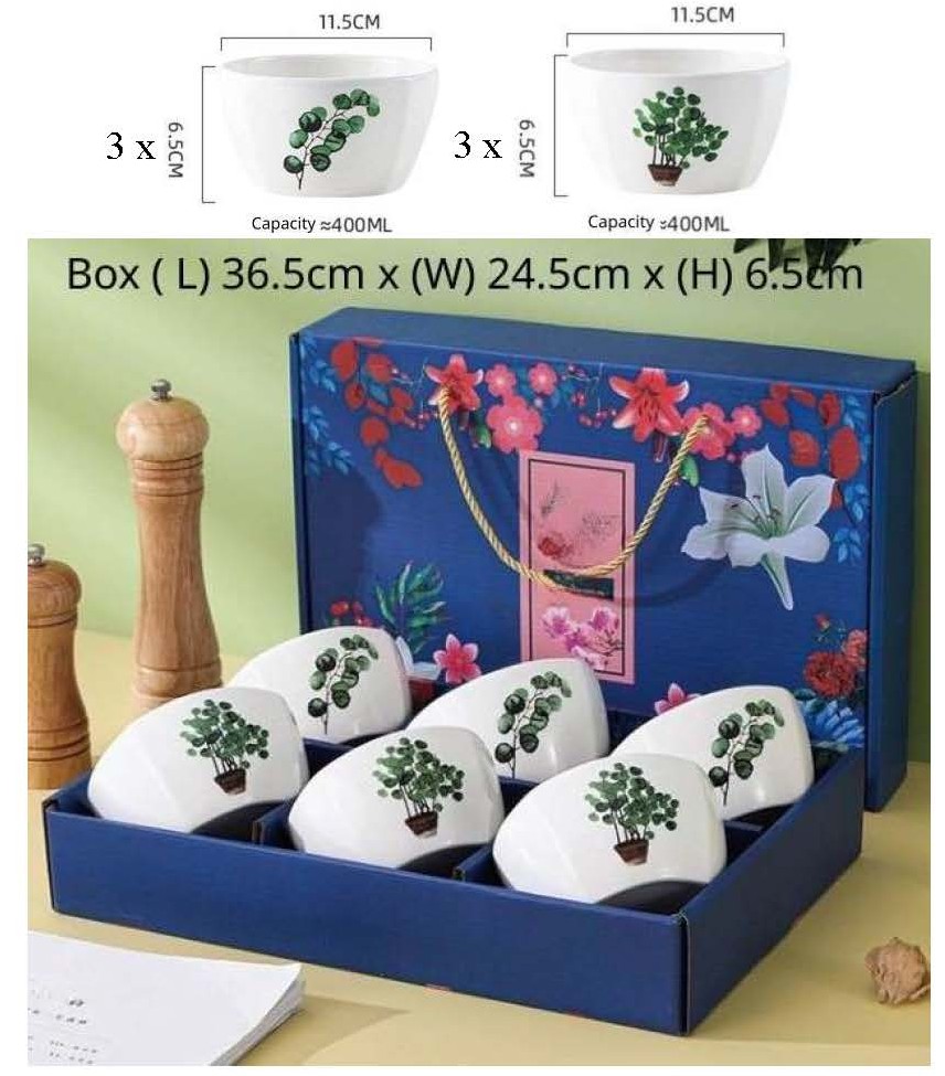 Ensemble de 6 bols de 11,4 cm (4,5 po)