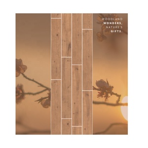 Ấn độ xuất khẩu chất lượng hiện đại camden Nâu sàn gỗ gạch sứ hoàn thành 20x120 8x48 ván gỗ cho firebrick - Product Image 2