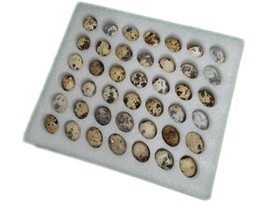 Inserto in schiuma EPE EVA personalizzato eco-friendly imballo in schiuma e scatola di imballaggio in schiuma d'uovo antiurto - Product Image 3