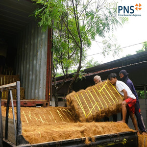 Verkauf von Kokosfasern, die als Autos itz-und Sofa füllmaterial aus Nord-<span class=keywords><strong>Sumatra</strong></span>-Indonesien verwendet werden können