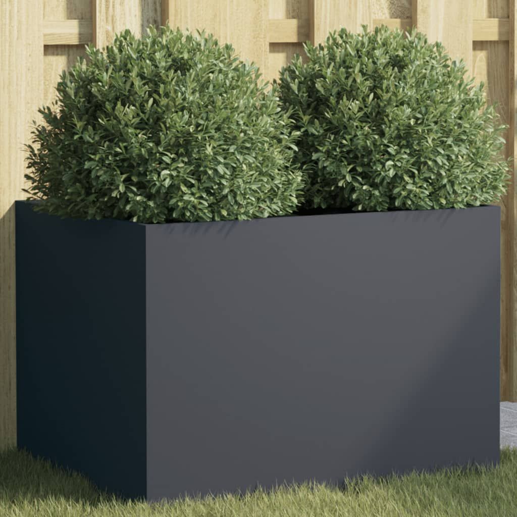 Anthracite Color