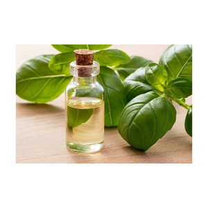 BasilOil Ocimum Basiliumエッセンシャルオイルピュアバジルオイルバルク量 - Product Image 2