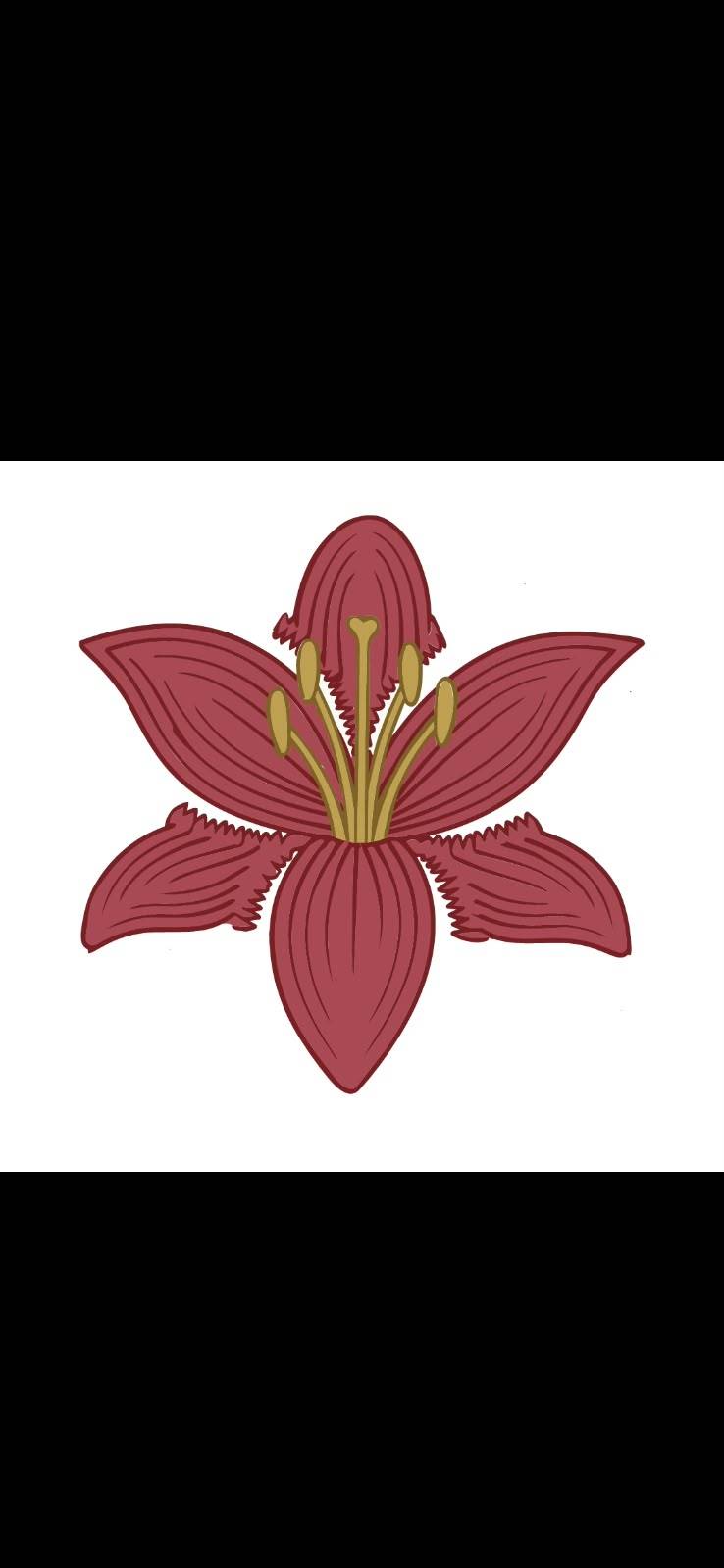 Tulipe en relief