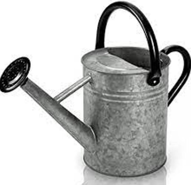 Galvanized